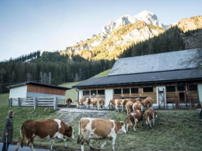 Huberbauer, Donnersbach, Österreich, Donnersbach, Österreich